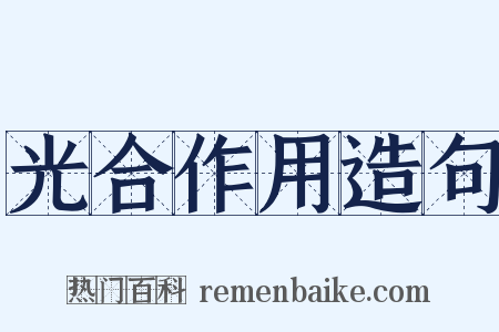 光合作用造句是什么意思的图片